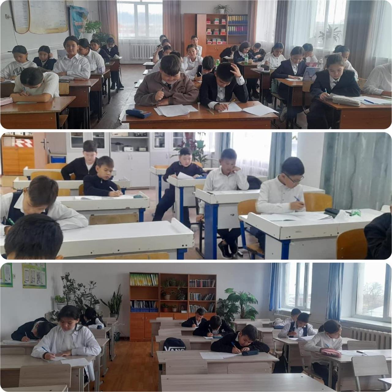 5-6 сыныптар арасында республикалық олимпиаданың мектепішілік кезеңі